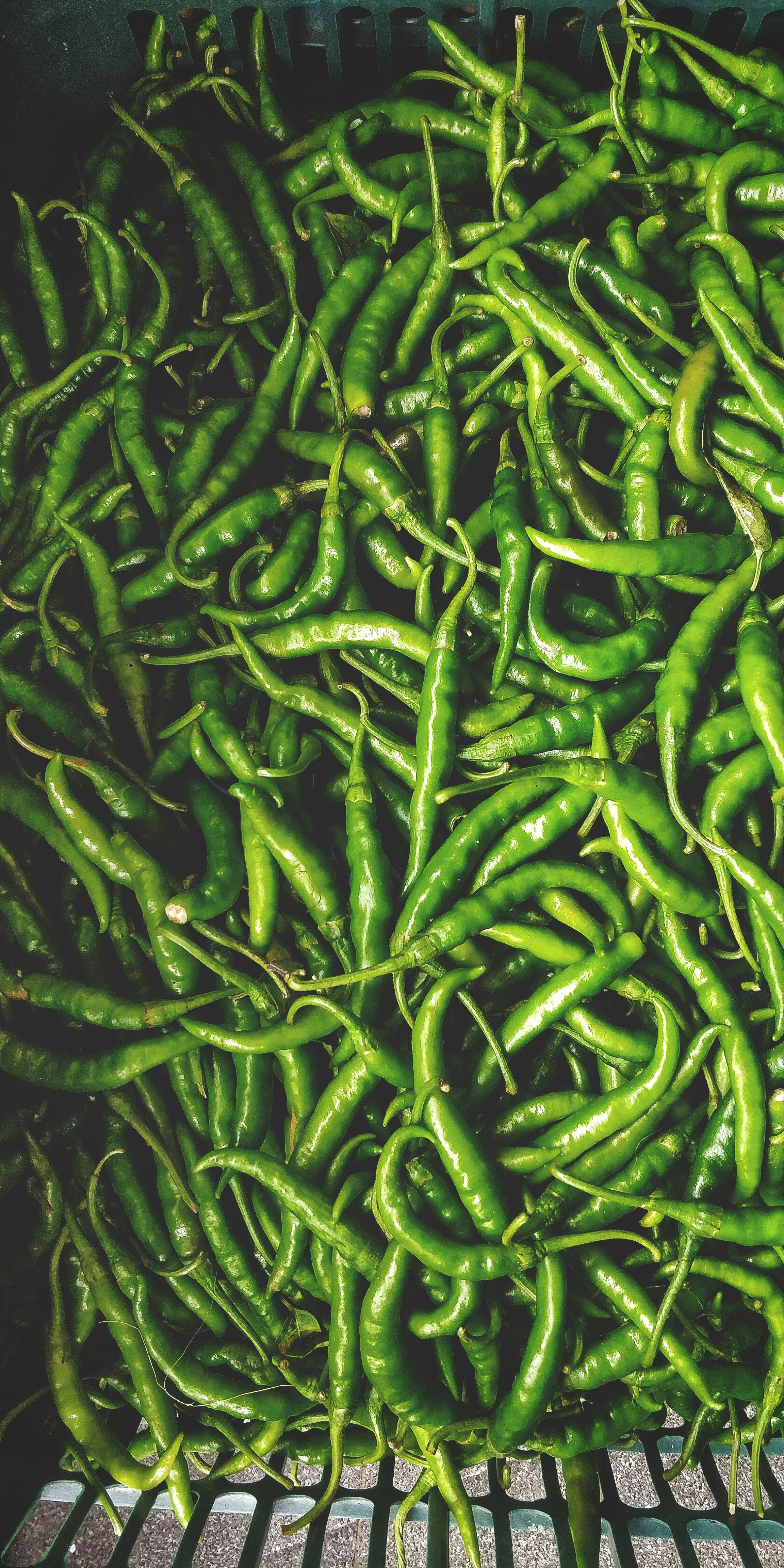 Green Chillies